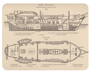 زوایای کشتی بیگل